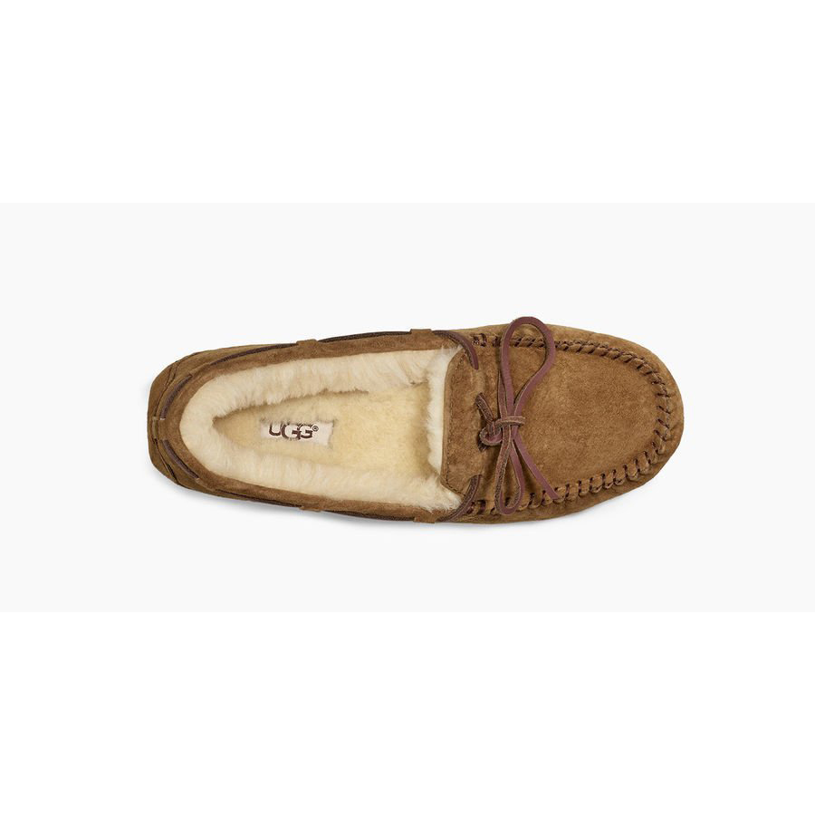 Chinelos UGG Preço Baixo - Mulher UGG Dakota Marrom